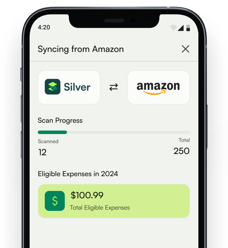 The Silver app scanning Amazon orders, 12 of 250 checked and $100.99 of eligible expenses found for 2024